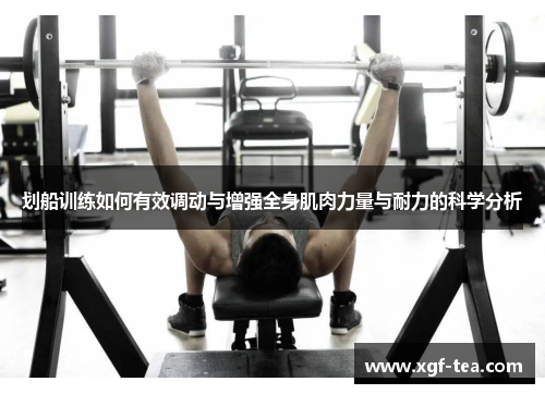 划船训练如何有效调动与增强全身肌肉力量与耐力的科学分析