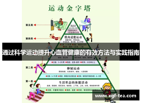 通过科学运动提升心血管健康的有效方法与实践指南