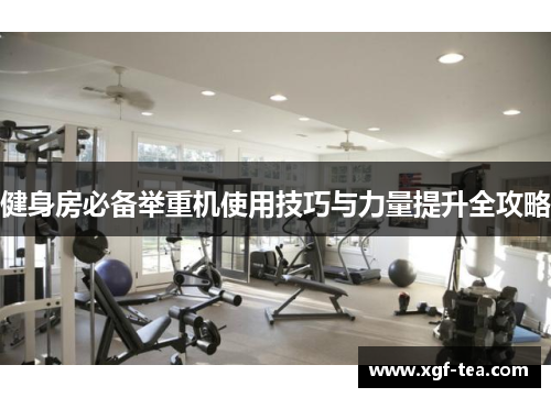 健身房必备举重机使用技巧与力量提升全攻略