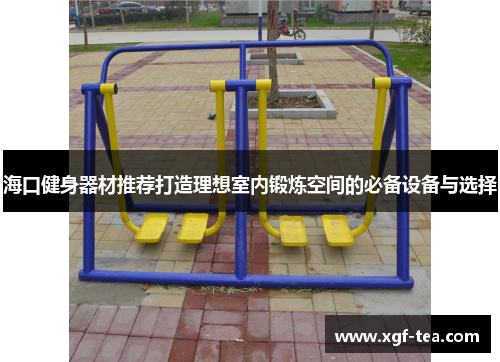 海口健身器材推荐打造理想室内锻炼空间的必备设备与选择