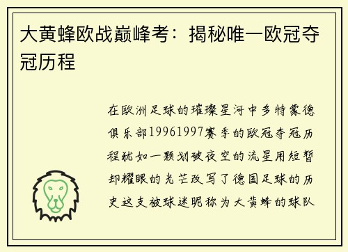 大黄蜂欧战巅峰考：揭秘唯一欧冠夺冠历程
